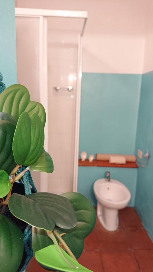 La Casina Di Alice Apartment Marciana Marina  Ngoại thất bức ảnh